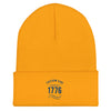 Blue 1776 Freedom Kind Logo | Cuffed Beanie - Gold