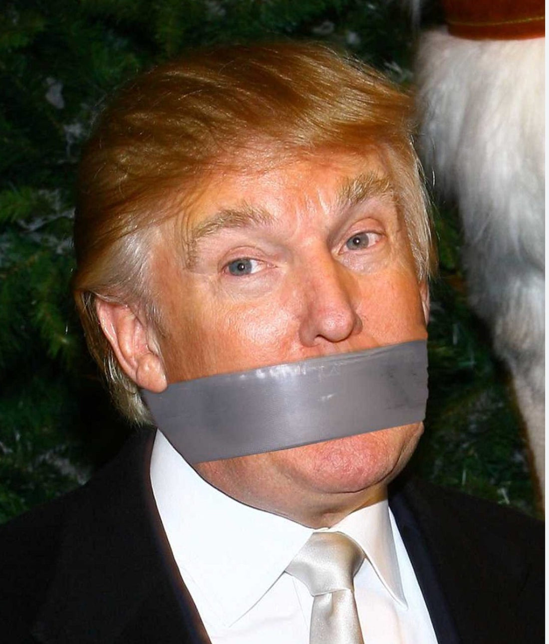 Preserving the Pulse of Democracy: Unraveling the Gag Order Drama